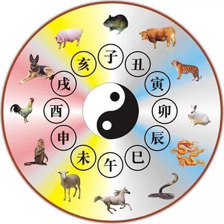 牛对应的天干及性格