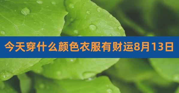 生肖衣服颜色助运旺财生肖衣服颜色助运旺财