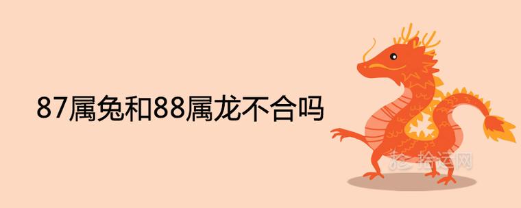 87年女兔和88年男龙生肖相合