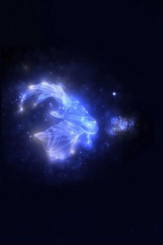 天顶星座 摩羯座