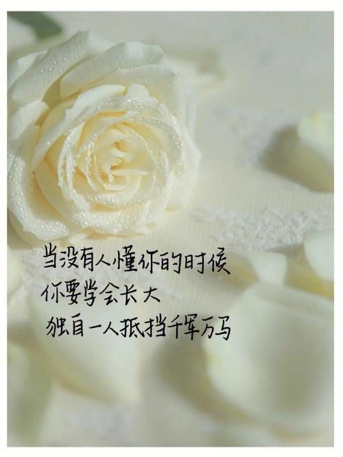 深爱,分手仍把前任放心中的生肖