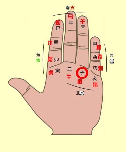 掰了后就会清理恋爱记忆的生肖
