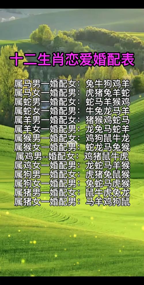 什么生肖配对感情最好