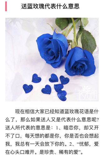 蓝玫瑰的含义