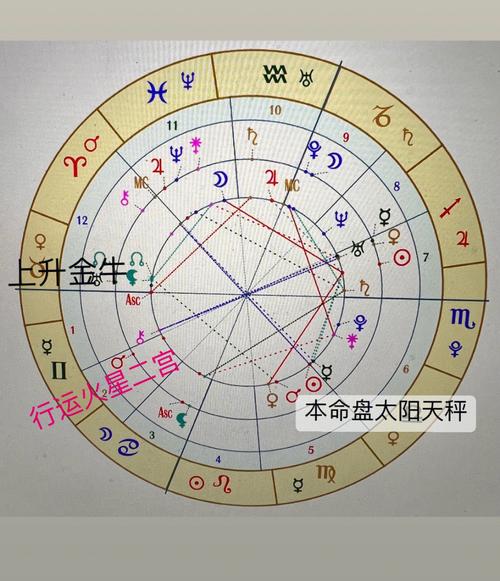 个人运势看上升星座