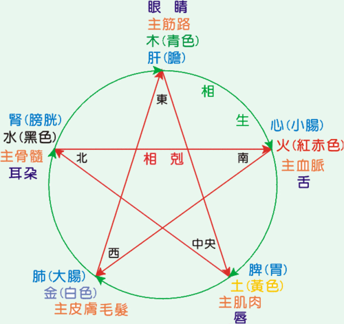 五行中阳木阴木啥意思