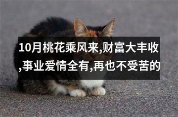 10月桃花乘风来,财富大丰收,事业爱情全有,再也不受苦的