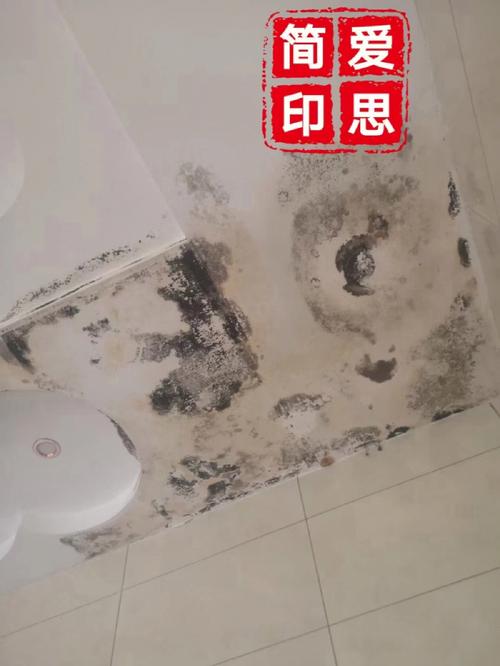 女人梦见家里墙壁渗水有何含义