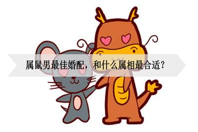 属鼠男喜欢别人老婆
