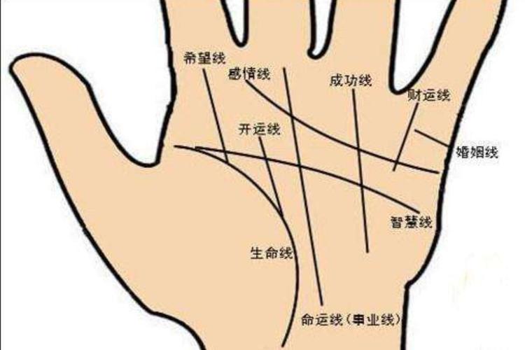 掌纹图解:上进线代表着什么