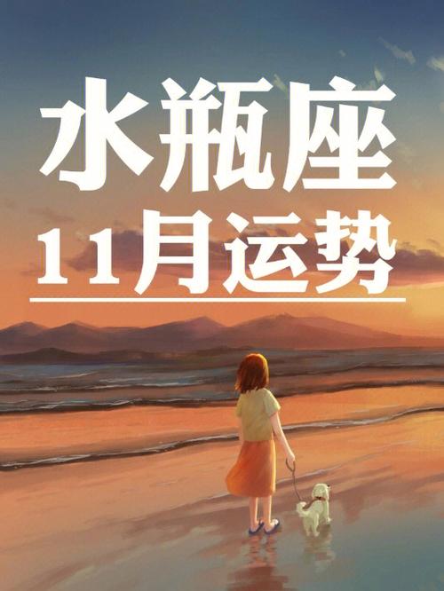 水瓶座2021年11月运势