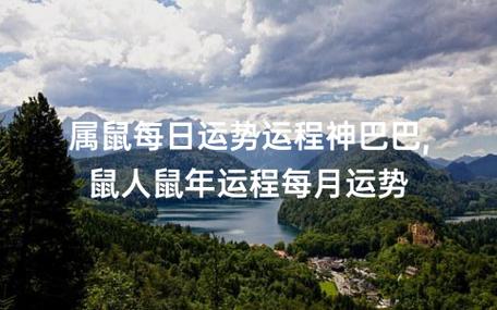 属属人2021年运势运程