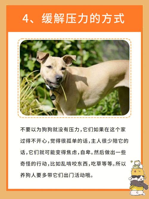 梦见饿狗吃狗是什么意思