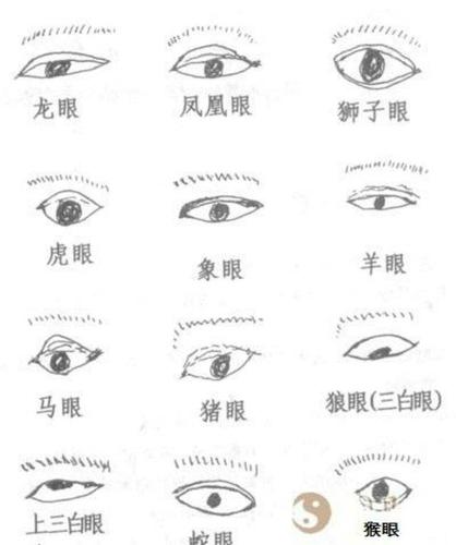 麻衣相法:面相眼睛识人口诀
