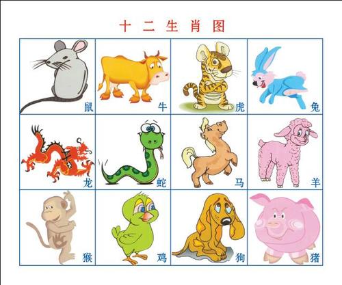 这些生肖总是被动至极才知求进步