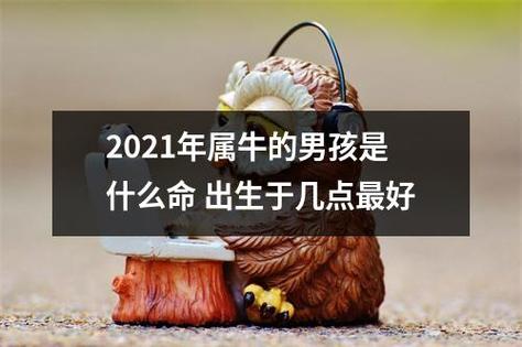 2021年属牛的男孩是什么命