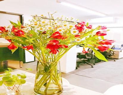 办公室放假花风水禁