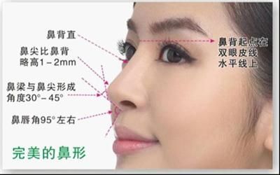 鼻梁高的女人性格有什么特点