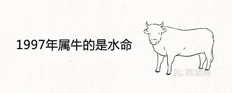 1997年属牛水命又说火命