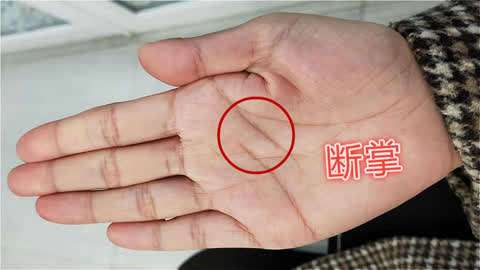 女孩女人右手断掌好不好