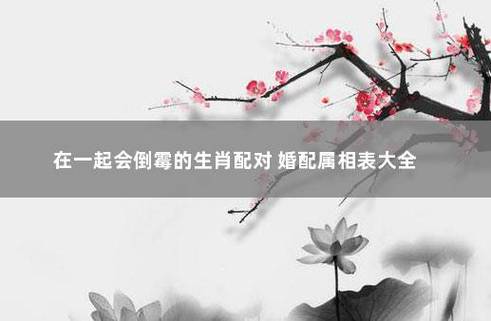 这六大生肖配对的夫妻极易离婚