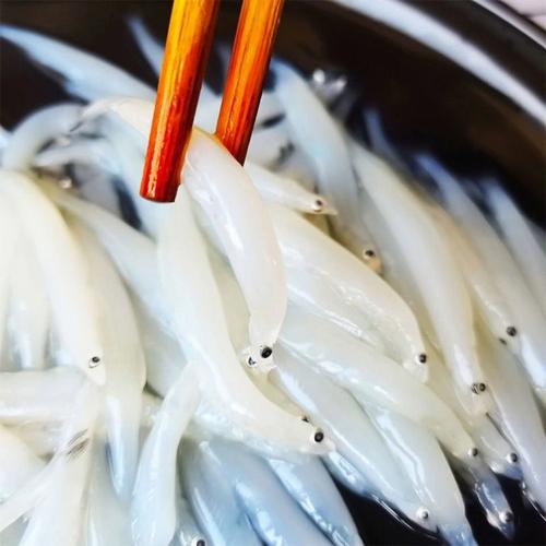 梦见银鱼怎么回事
