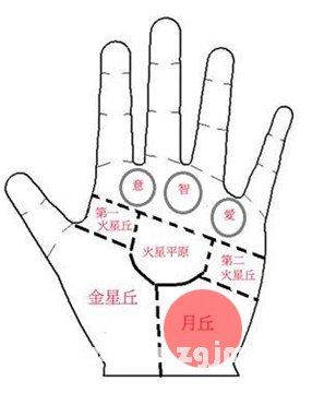 月丘上的纹路图解:月丘有井字纹的手相