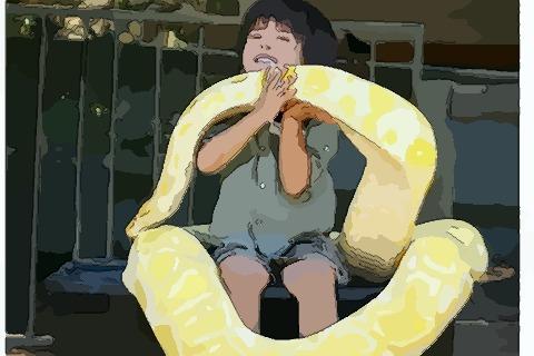 梦见黄金蟒 梦见黄金蟒吃人