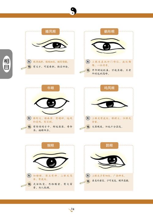 面相图解:猴眼人的性格命运