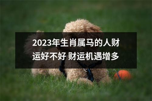 属马的人2023年什么运最好