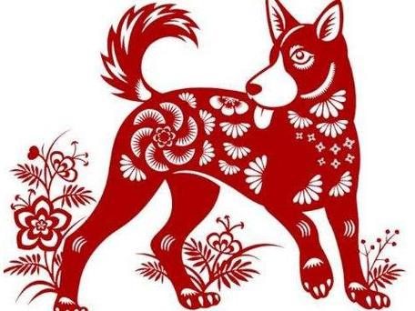 妈妈属龙爸爸属狗生猪宝宝合适吗