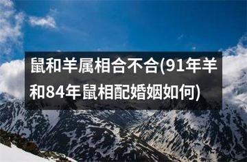 91年羊女和96年男鼠婚姻相配吗