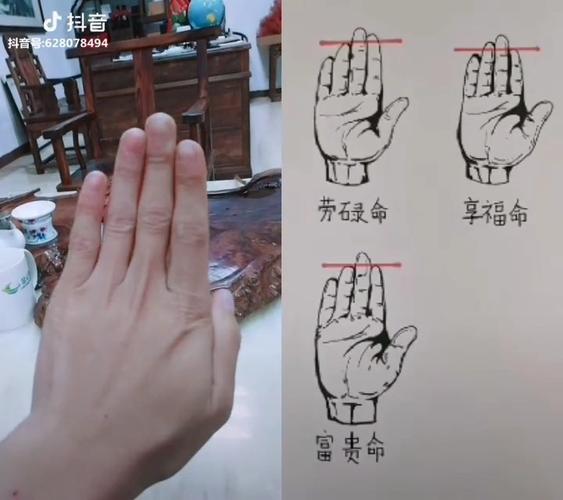 手指的长短与命运图富贵命