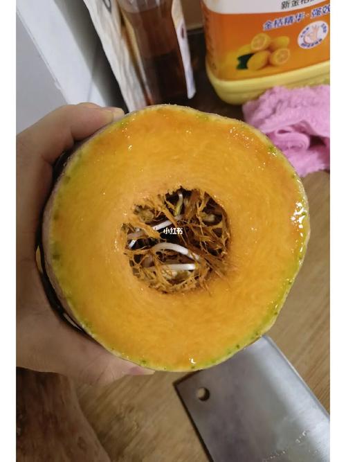 梦见南瓜里有好多虫子
