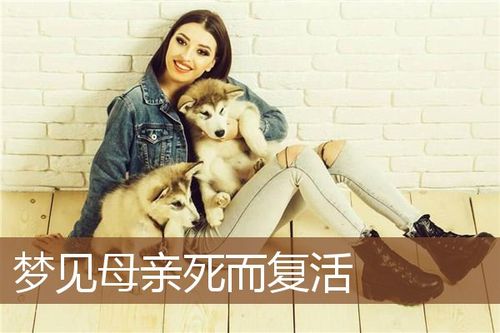 梦见母亲复活周公解梦，梦见母亲复活是什么意思？