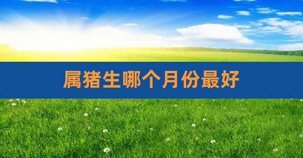 属猪的生在几月最好