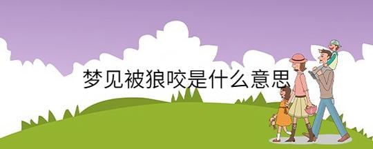 梦见被狼咬