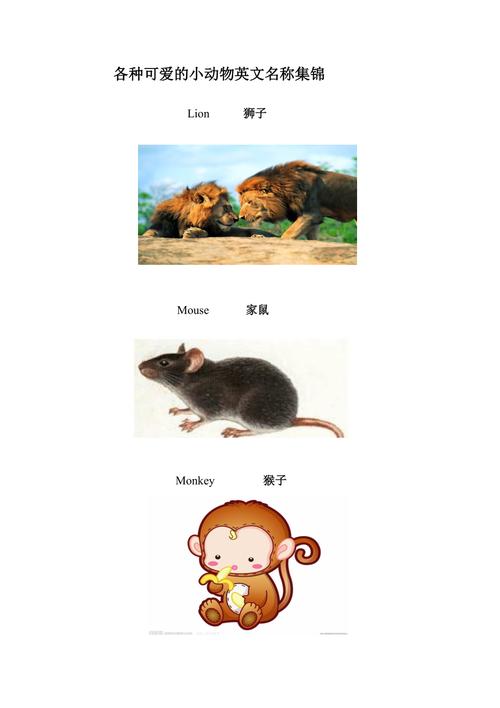 好听的小动物名字