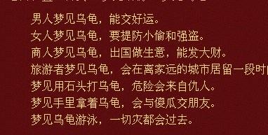 梦见龟文