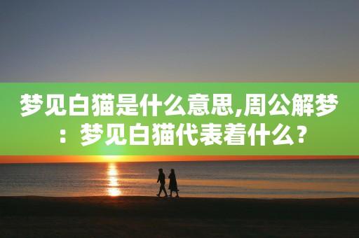 梦见白猫周公解梦,梦见白猫是什么意思?