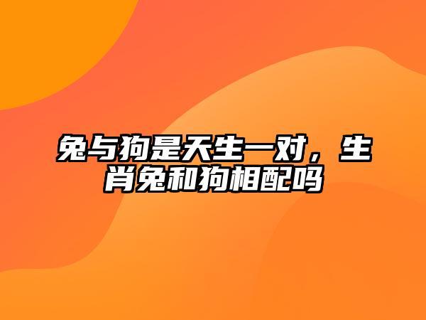 生肖配对表 狗和兔适合在一起吗