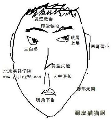 坏人面相有什么特点,坏人面相解析