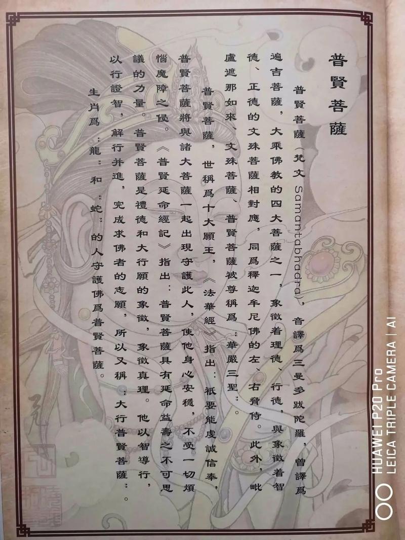 12生肖的守护佛分别是什么