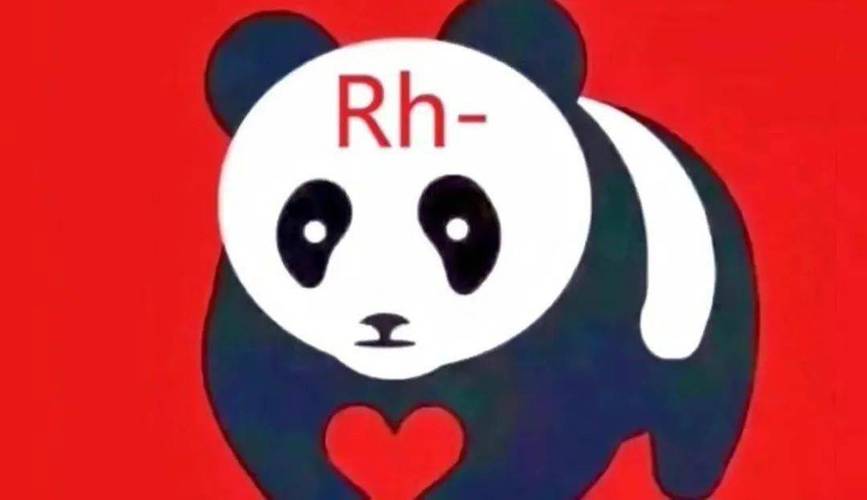 属兔熊猫型血的性格特点