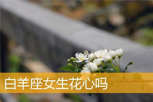 白羊座的女生花心吗