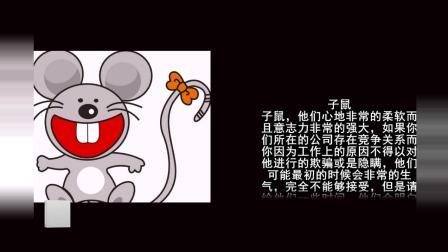 最懂得原谅的生肖们