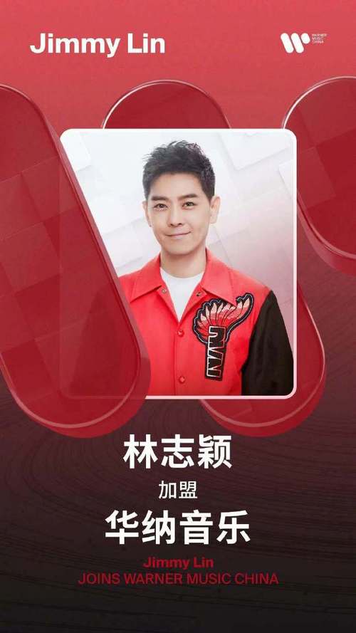 林志颖的公司叫什么名字