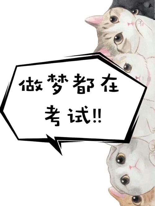 梦见考试成功顺利