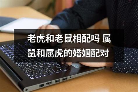属虎的和属鼠的婚姻相配