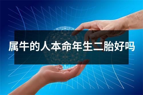 属牛的人本命年生二胎好吗